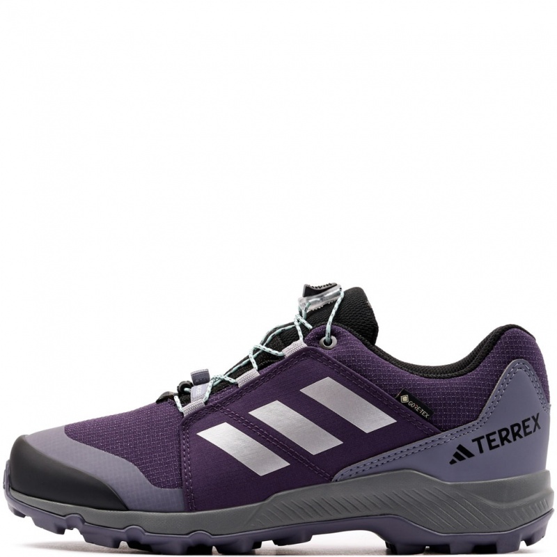 adidas Terrex Gore-Tex Pantofi sport JS2930
