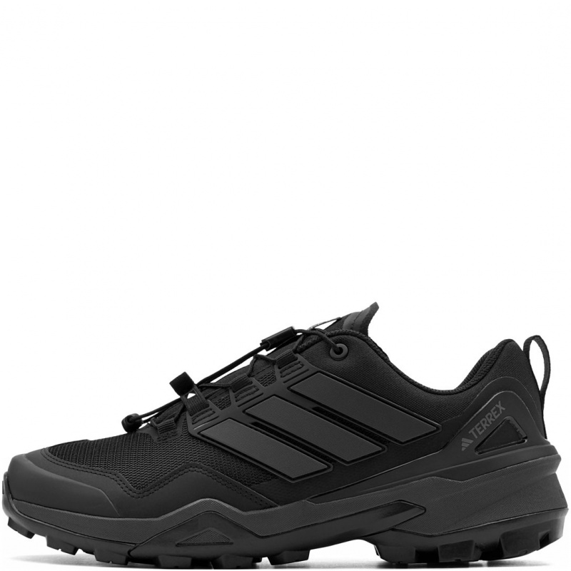 adidas Terrex Skychaser Pantofi sport bărbați JH6384