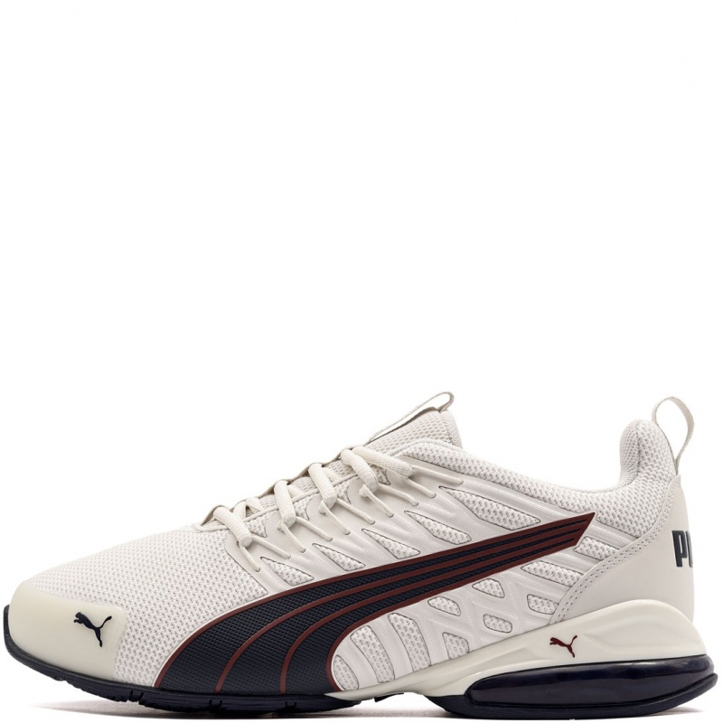 Puma Voltaic Evo Pantofi sport bărbați 379601-41