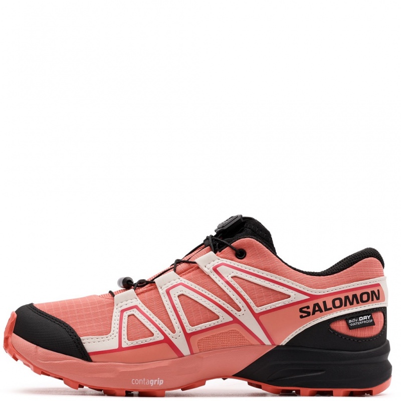 Salomon Speedcross WaterProof Pantofi sport 477336