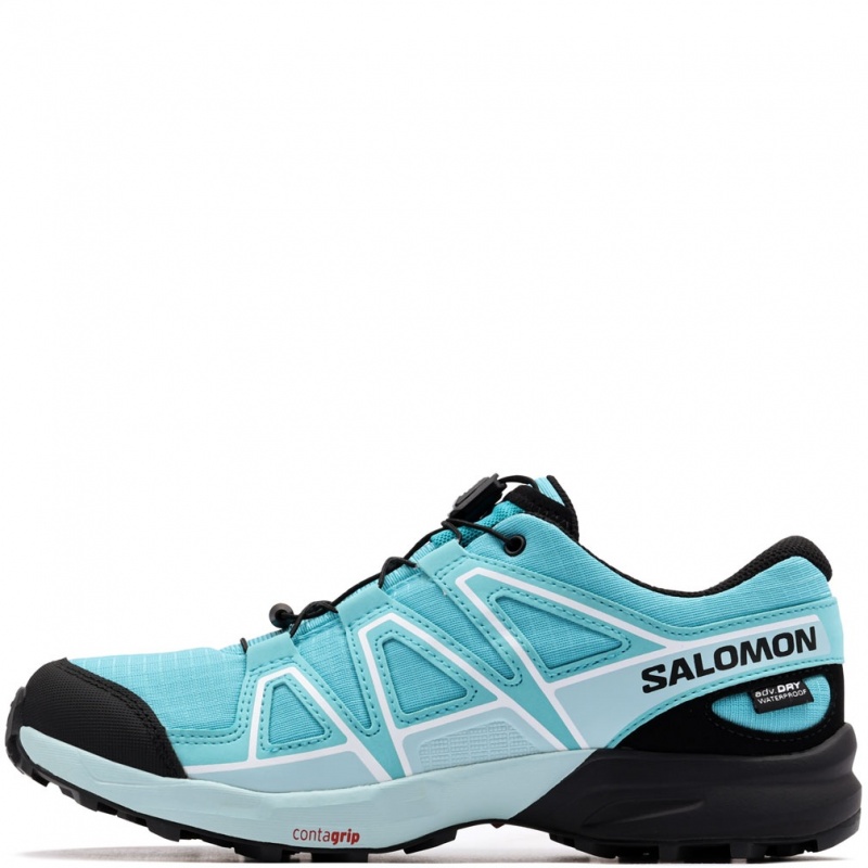 Salomon Speedcross WaterProof Pantofi sport 477339