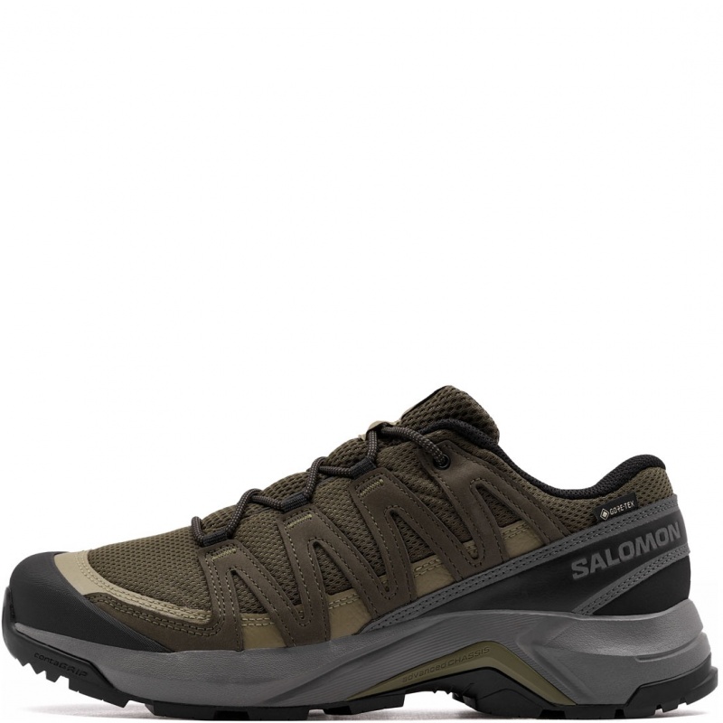 Salomon X-Adventure Recon Gore-Tex Pantofi sport bărbați 478132