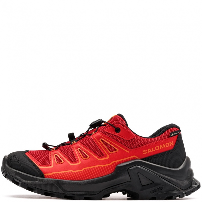 Salomon X Ultra Gore-Tex Pantofi sport 477458