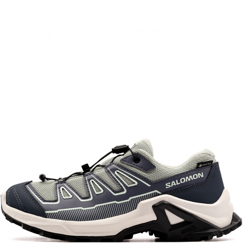 Salomon X Ultra Gore-Tex Pantofi sport 491097