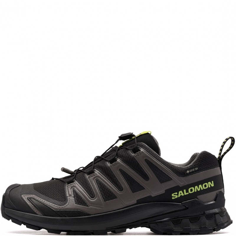 Salomon XA Pro 3D V9 Gore-Tex Pantofi sport bărbați 479873