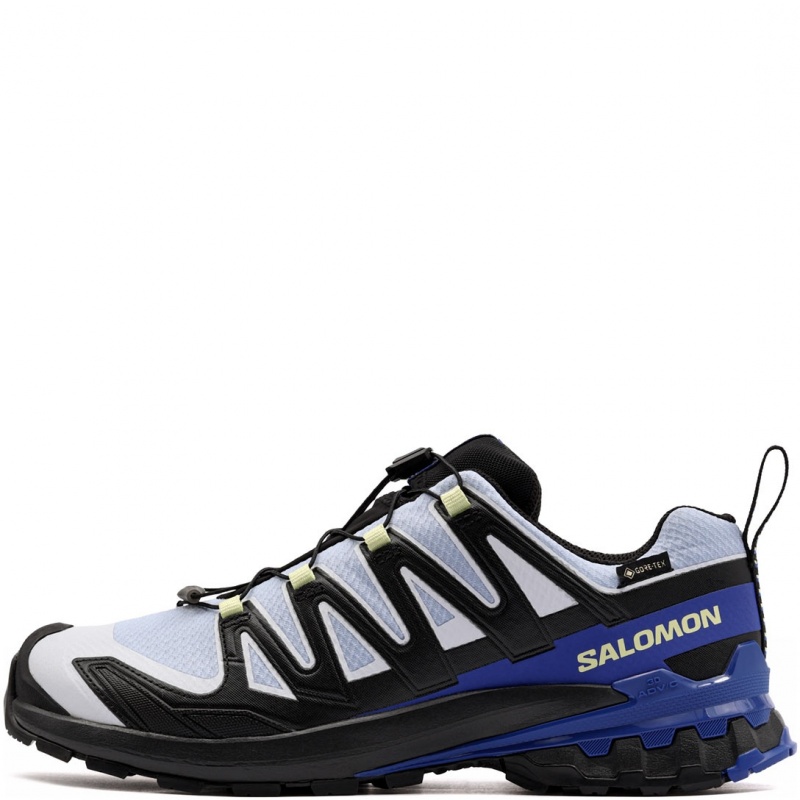 Salomon XA Pro 3D V9 Gore-Tex Icon Pantofi sport bărbați 454865