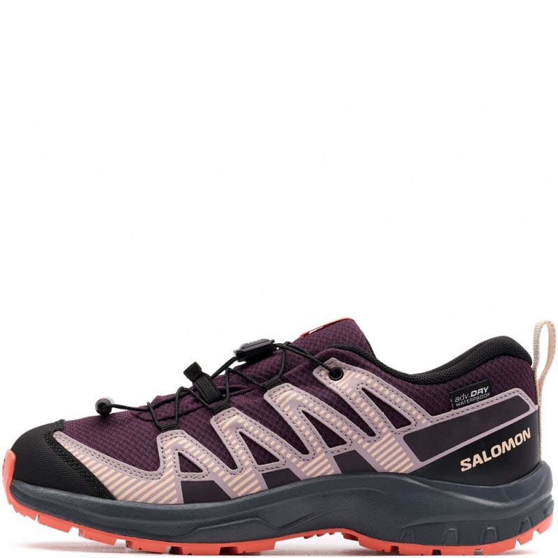 Salomon XA Pro V8 WaterProof Pantofi sport 478571